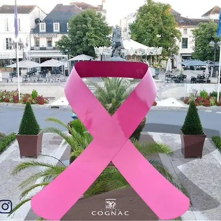 La Immeuble Place Francois 1er Cognac