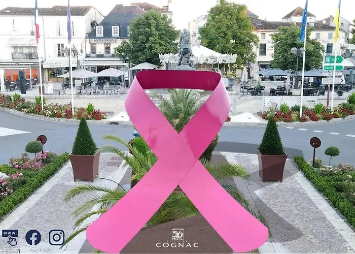 La Résidence Immeuble Proche Place François 1er Cognac